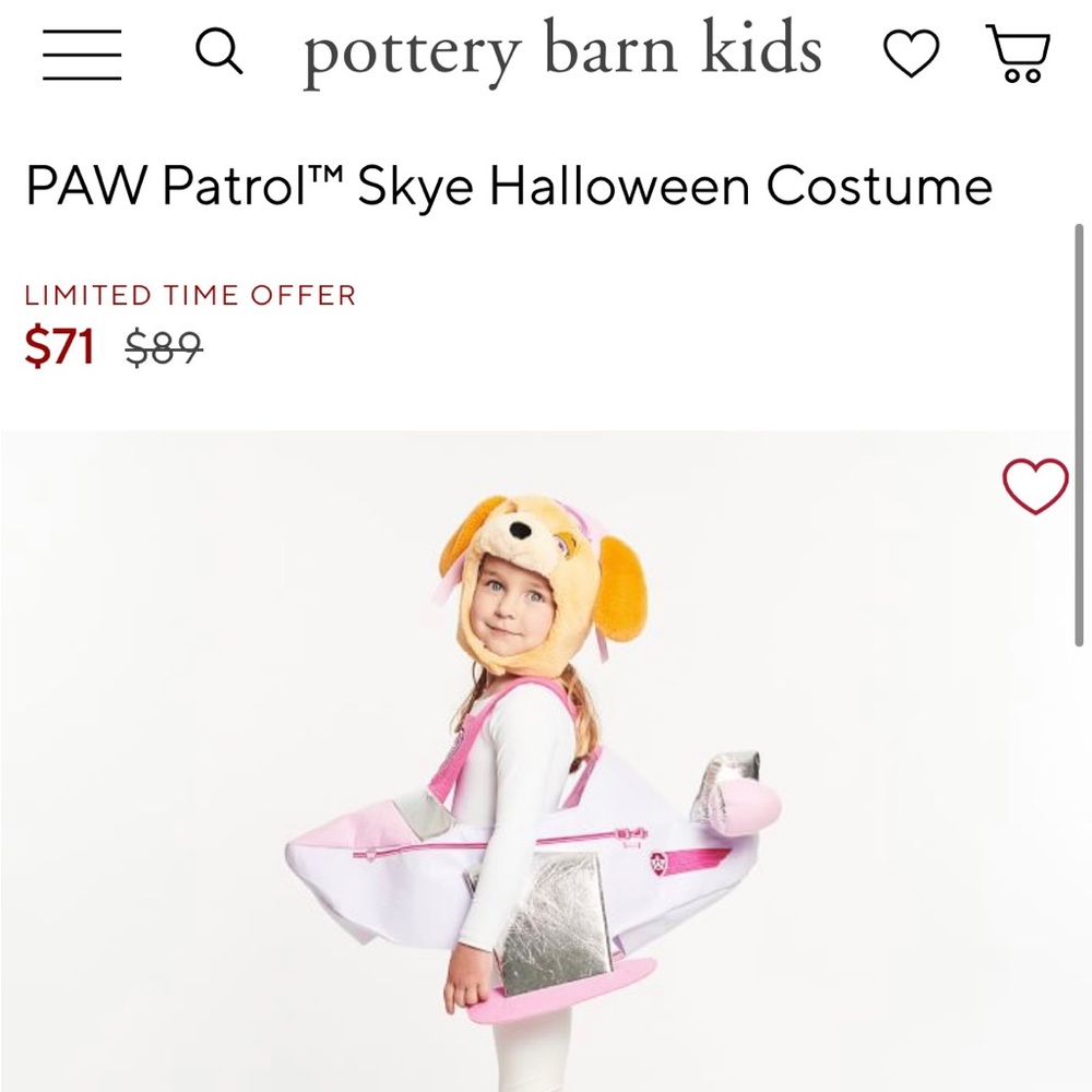 Pottery Barn Paw Patrol Skye Costume